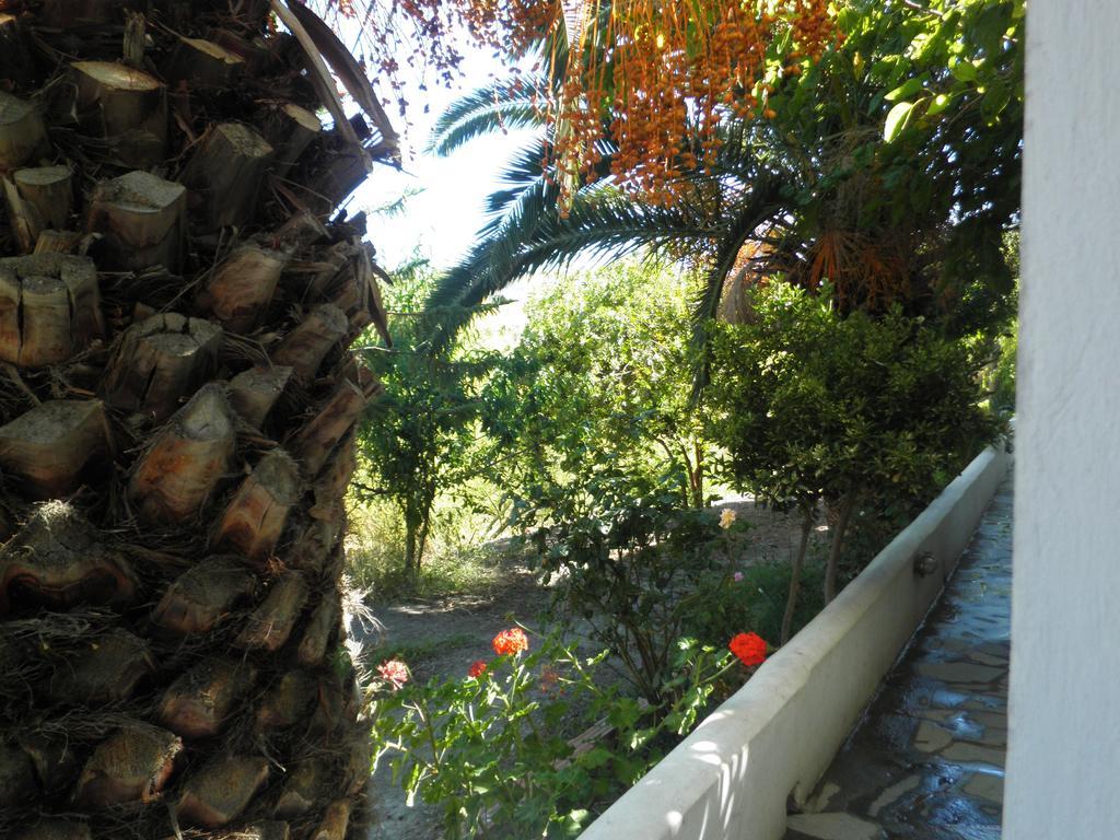 Mavrikou Helen Apartments Skýros Rom bilde